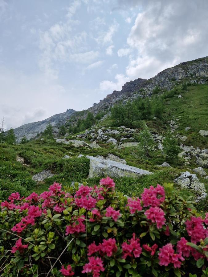 Almgasthaus Glocknerblick Großkirchheim Eksteriør bilde