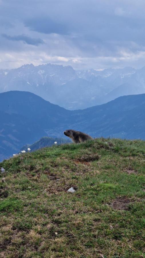 Almgasthaus Glocknerblick Großkirchheim Eksteriør bilde